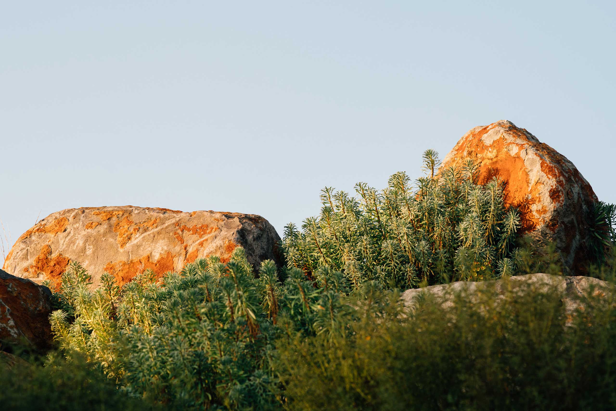 Rock: the Foundation