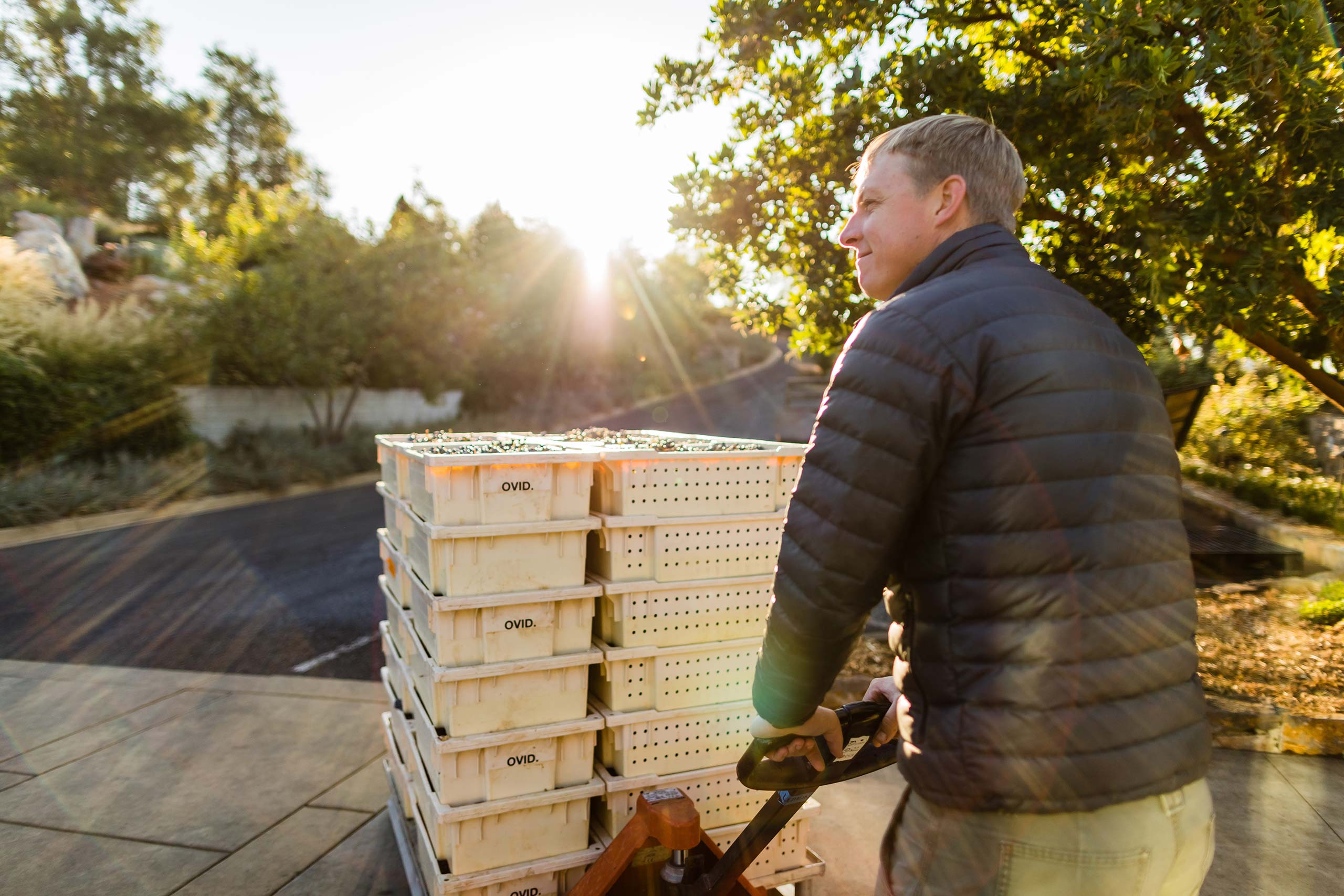 Winemaker Austin Peterson