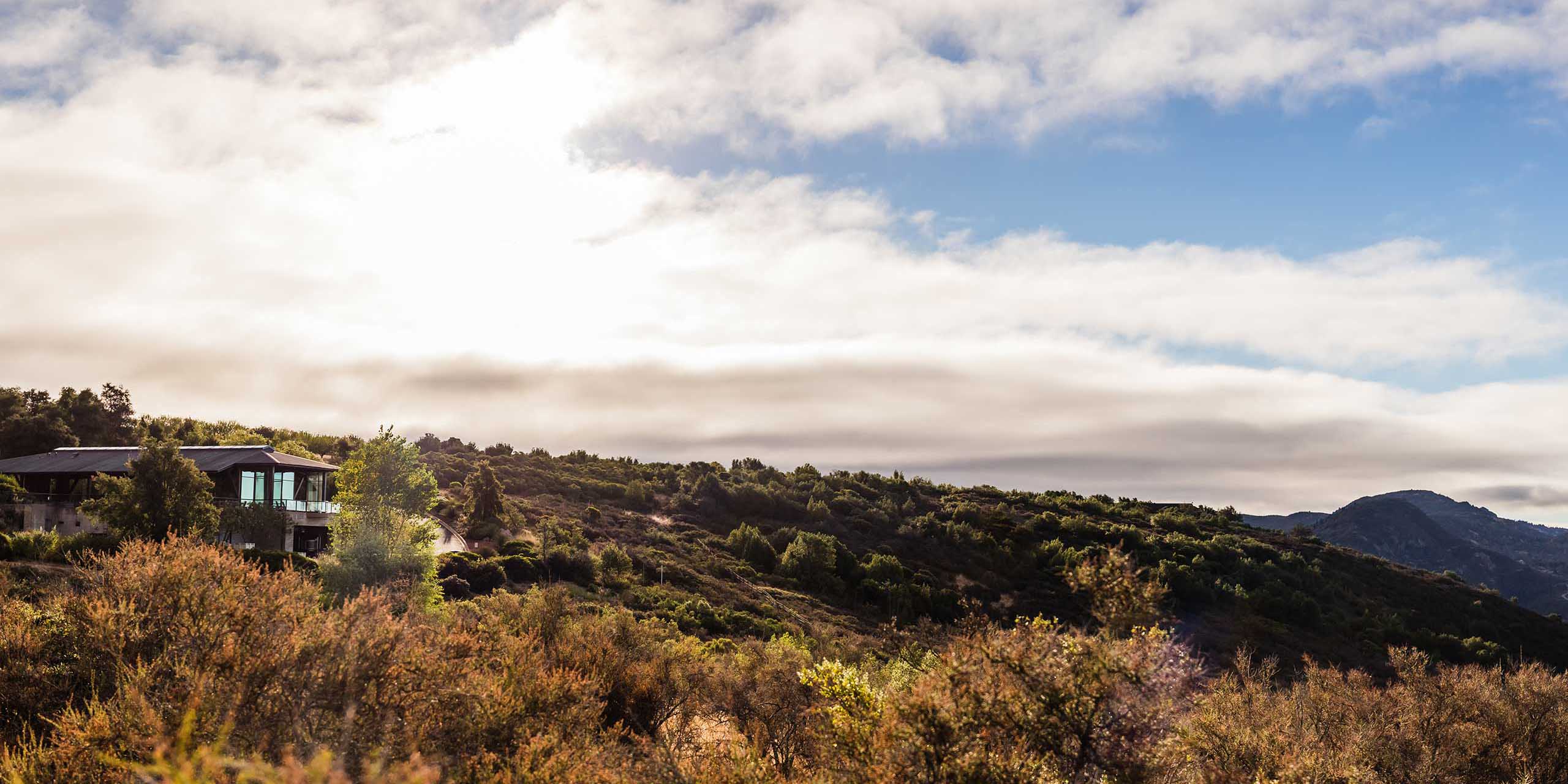 OVID winery on Pritchard Hill