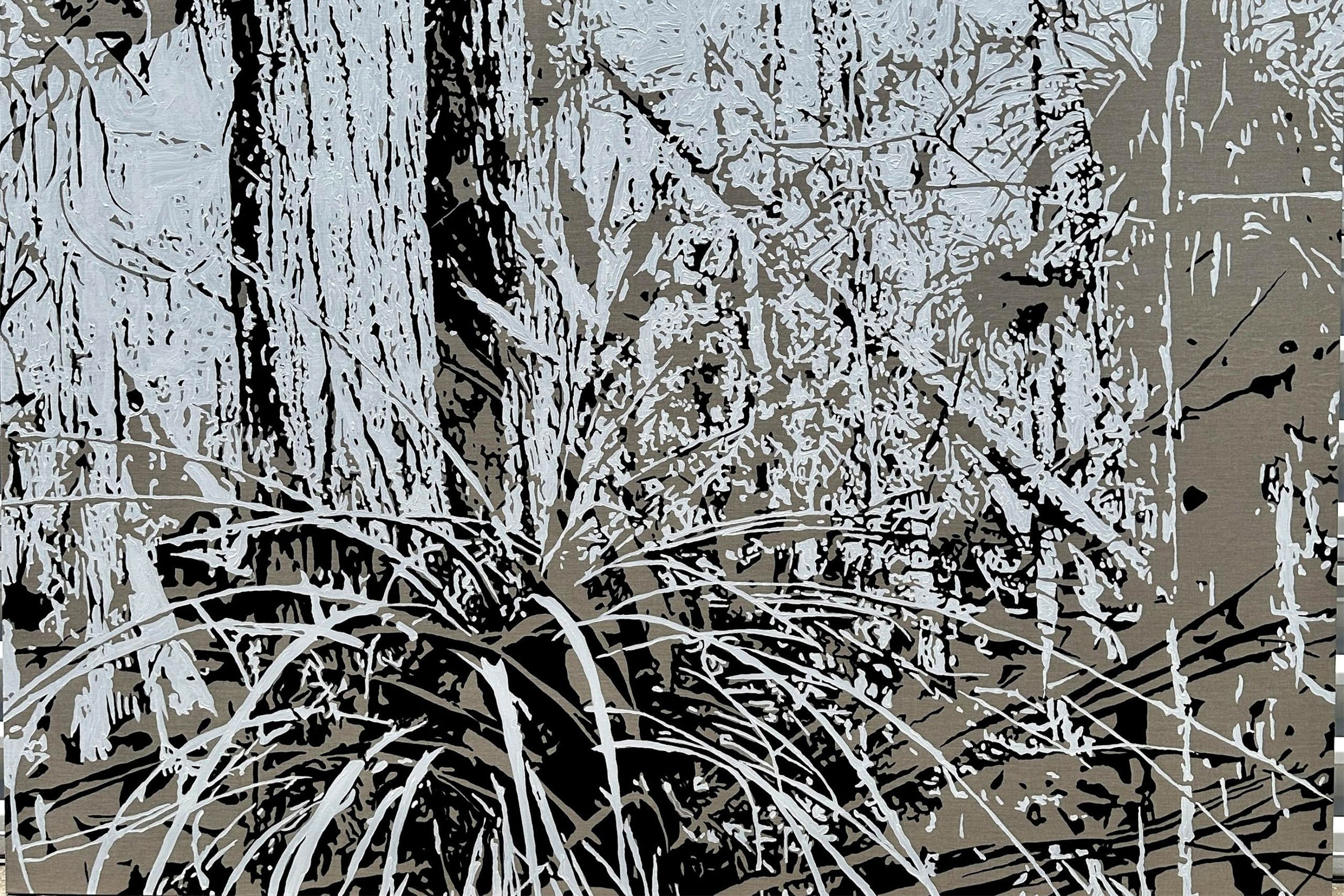 A Sense of Place: Mangroves